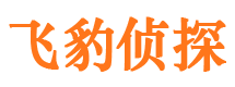 丰宁外遇调查取证